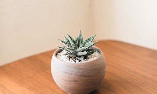 things to do before vacation